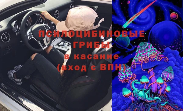 марихуана Белокуриха