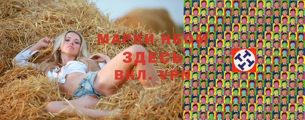 стаф Горняк
