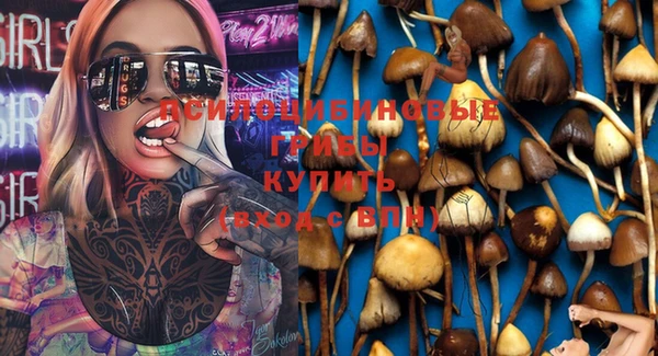 марки lsd Баксан