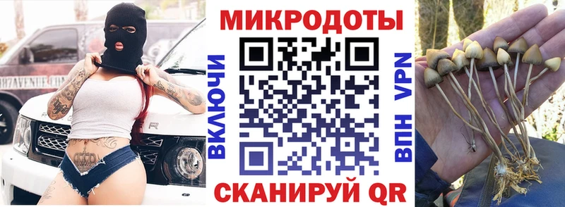 Галлюциногенные грибы ЛСД  Городовиковск 